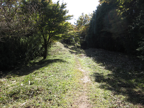20201105hike (151)